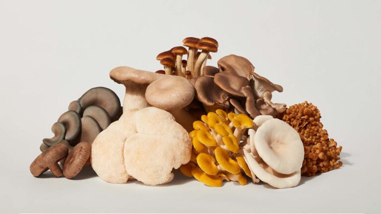 Full Pin Gourmet Mushrooms Rebrand