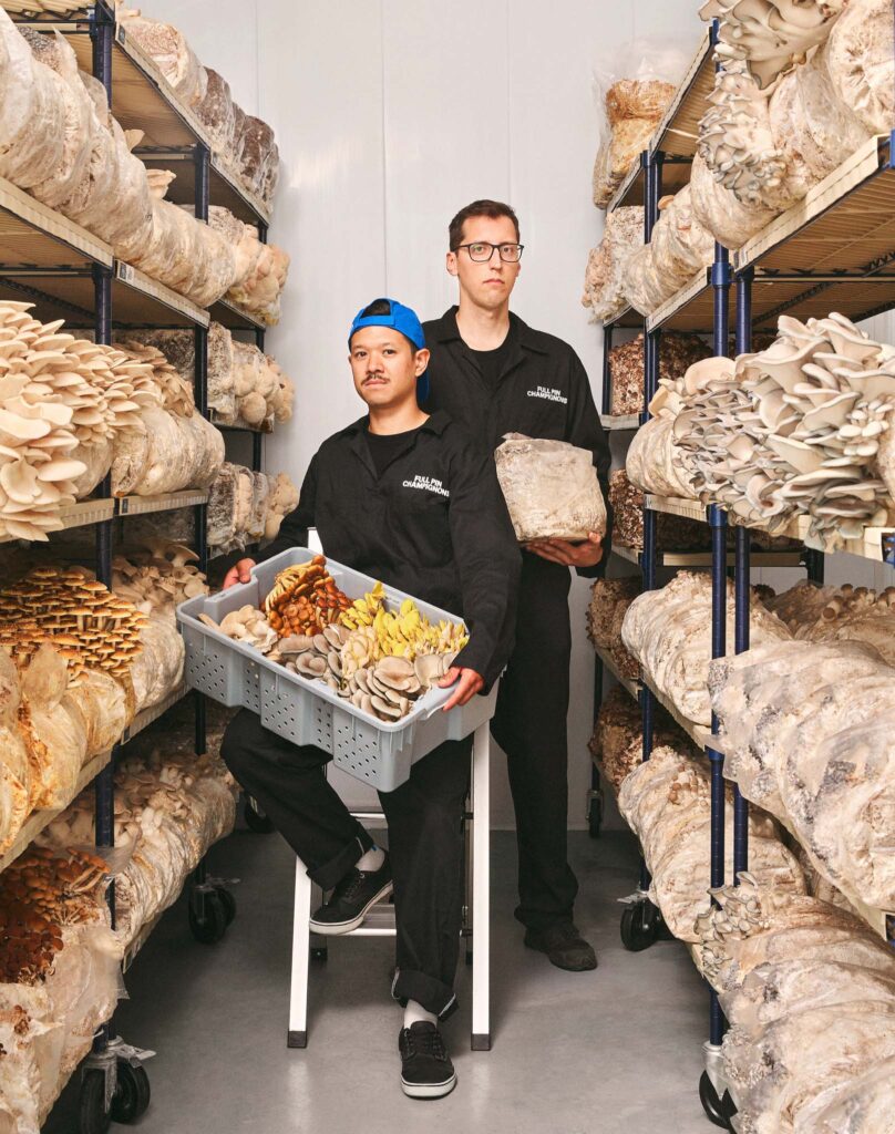 Full Pin Gourmet Mushrooms Rebrand