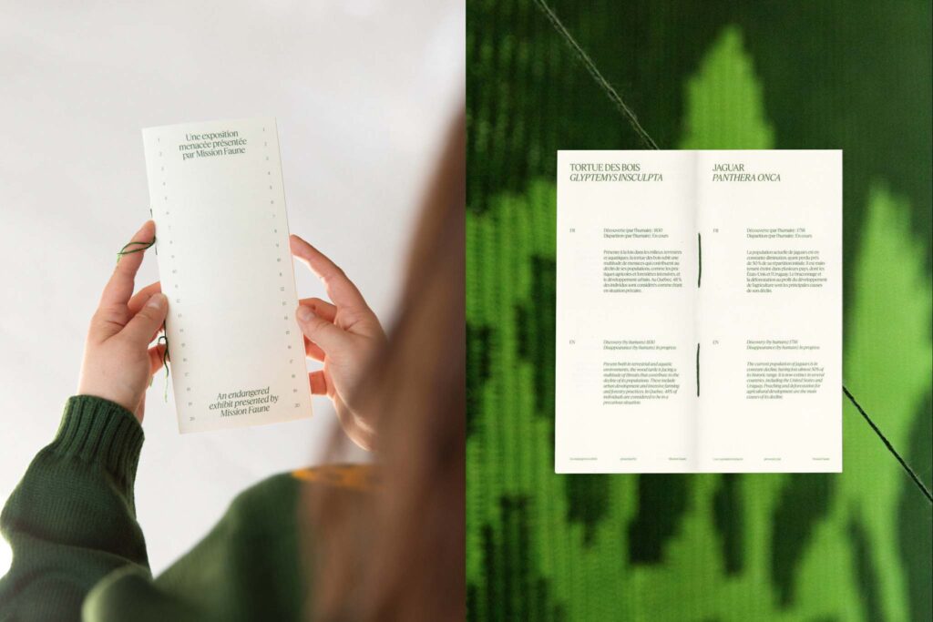 In the Blink of an eye