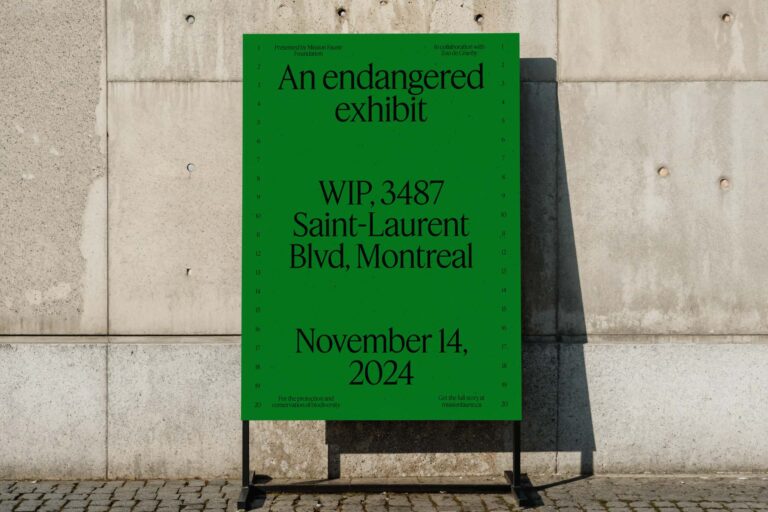 In the Blink of an eye