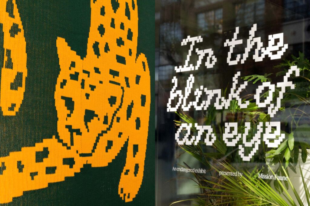 In the Blink of an eye