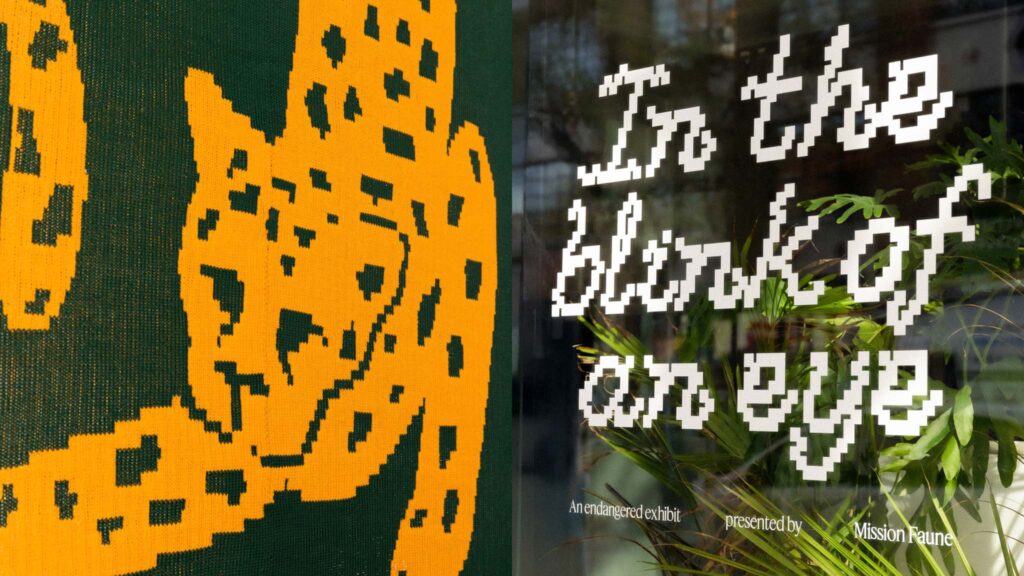 In the Blink of an eye