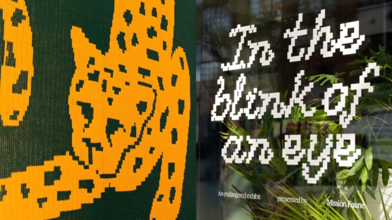 In the Blink of an eye