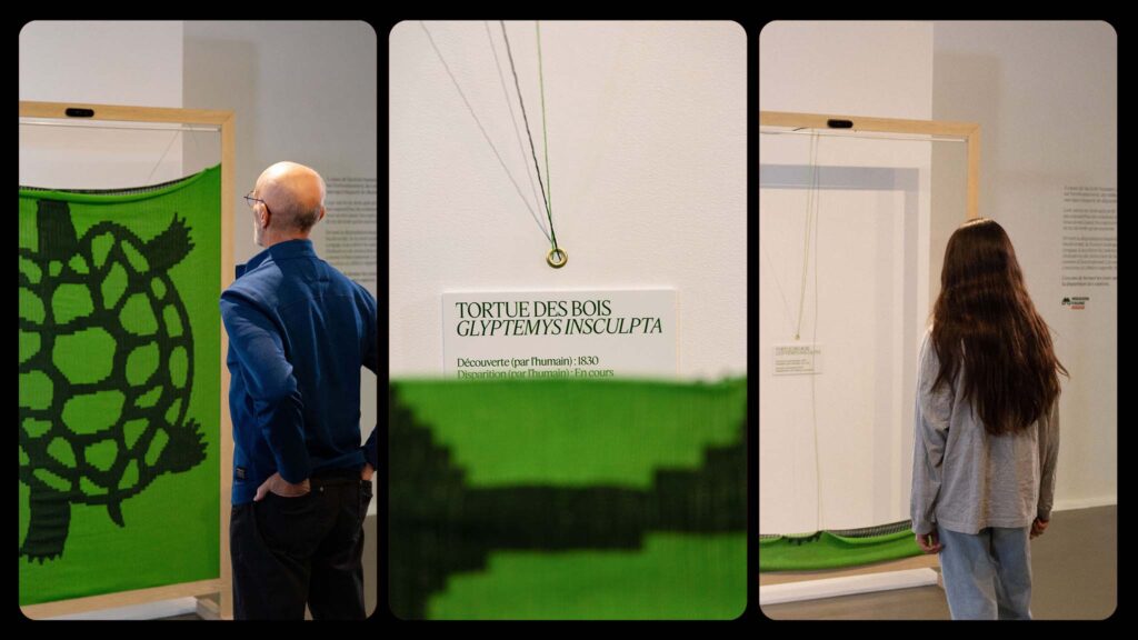 In the Blink of an eye